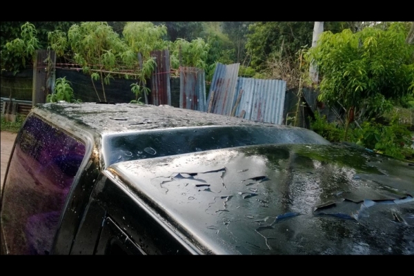 ขายSuzukiคาริเบียนตู้ปลา