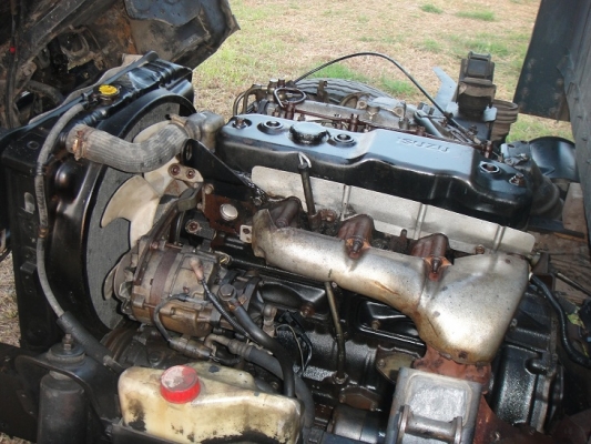 ขาย  ISUZU NPR 115 แรง เกียร์สั้น เอฟหลัง ( ห้างแท้ )