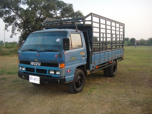 ขาย  ISUZU NPR 115 แรง เกียร์สั้น เอฟหลัง ( ห้างแท้ )