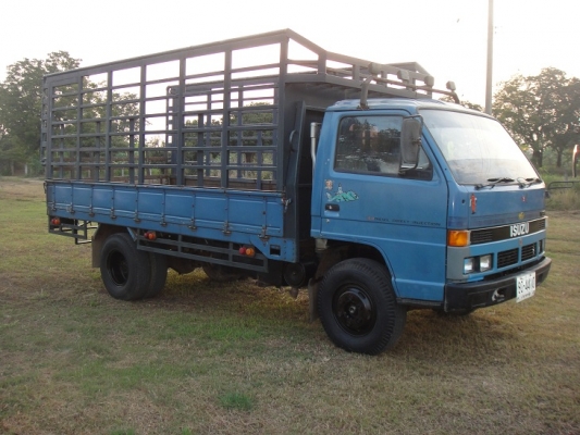 ขาย  ISUZU NPR 115 แรง เกียร์สั้น เอฟหลัง ( ห้างแท้ )