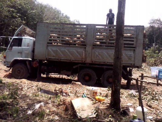 รถอีซูซุ 10 ล้อ รั้ว FVZ เปลื่ยนเครื่อง  230 แรงม้า  ( ขายแม่ลูก. )  สนใจติดต่อ 081 - 6079515