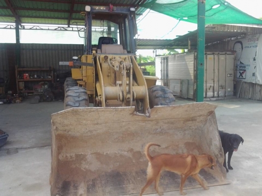 ขายรถตักล้อยาง CAT 910F ขายรถตักล้อยาง CAT 910F