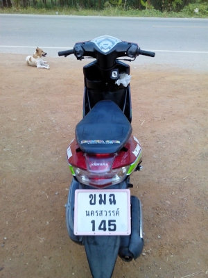 มีโอสองตา