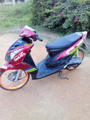 มีโอสองตา