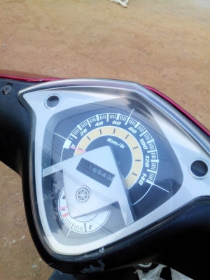 มีโอสองตา