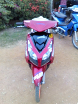 มีโอสองตา