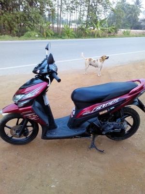 คลิ๊กปี51ท็อป รวมส่ง