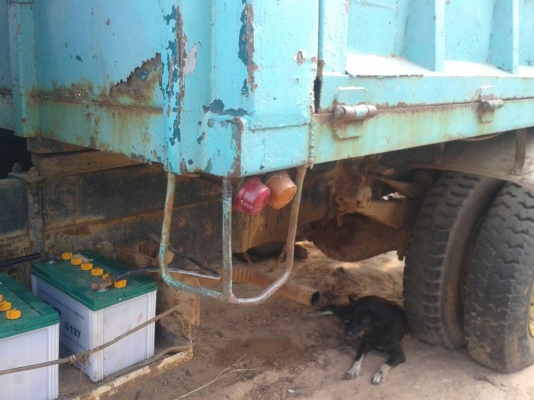 ขายดั้มหัวยาว145แรง ช่วงล่าง200