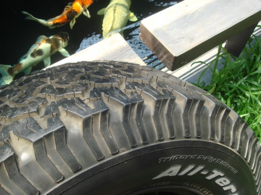 ขาย ยาง BF-Goodrich AT 265/75/ ขอบ16 1เส้นสวยดอกเยอะอยู่ครับ ขาย ยาง BF-Goodrich AT 265/75/ ขอบ16 1เส้นสวยดอกเยอะอยู่ครับ