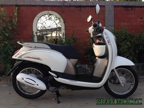 ขายHONDA SCOOPY-I สีขาวเทา ปี2556 ขายHONDA SCOOPY-I สีขาวเทา ปี2556