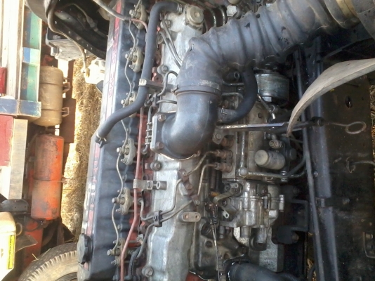 ขายด่วน