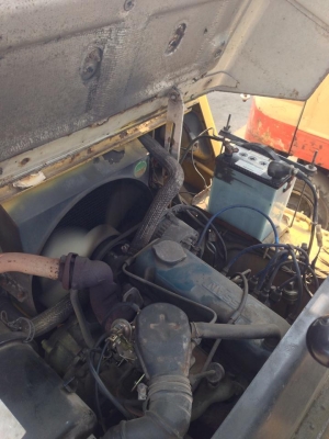 ขาย TCM FG14N16  รถนอกเก่าญี่ปุ่น ฮิ้ง+บุ้งกี๊