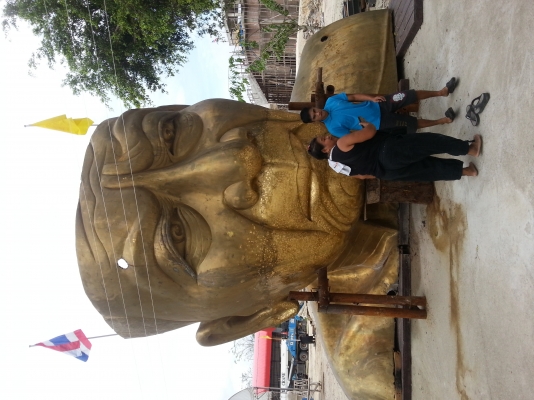 ขาย C50 supercup