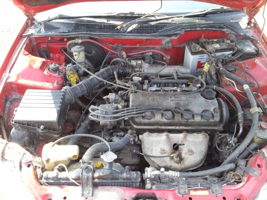 ขาย CIVIC ถูกๆๆๆๆๆๆ ครับ ขาย CIVIC ถูกๆๆๆๆๆๆ ครับ