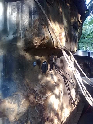 หัวเก๋ง โตโยต้าม้ากระโดด  คานแข็งแท้โรงงาน