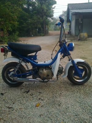 chappy 13000 บาทเครื่องดีทะเบียนโอนขาดต่อปีเดียวลดกันไปเลยป้ายเดิมอยู่ครบครับผมเลขคอและเครื่องตรง