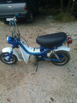 chappy 13000 บาทเครื่องดีทะเบียนโอนขาดต่อปีเดียวลดกันไปเลยป้ายเดิมอยู่ครบครับผมเลขคอและเครื่องตรง