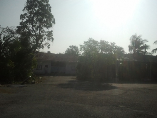 ขาย ที่ดิน
