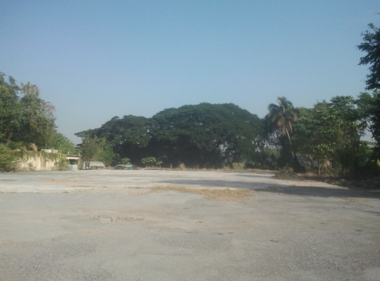 ขาย ที่ดิน