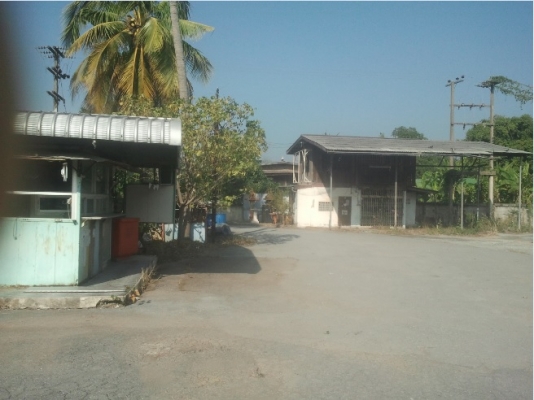 ขาย ที่ดิน