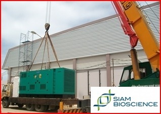 บริการซ่อม ดูแลรักษา เครื่องปั่นไฟทุกยี่ห้อ โดยช่างผู้ชำนาญ มีทั้งรายครั้งและรายปีในราคากันเองดูแลเป็นเยี่ยมแน่นอน สนใจติดต่อสอบถามรายละเอียดได้ที่เบอร์ 092-2826317 เจี๊ยบค่ะ บริการซ่อม ดูแลรักษา เครื่องปั่นไฟทุกยี่ห้อ โดยช่างผู้ชำนาญ มีทั้งรายครั้งและรายปีในราคากันเองดูแลเป็นเยี่ยมแน่นอน สนใจติดต่อสอบถามรายละเอียดได้ที่เบอร์ 092-2826317 เจี๊ยบค่ะ