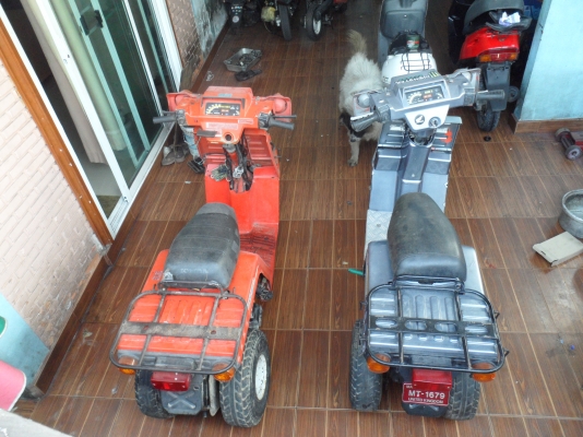 ป๊อป3ล้อ ป๊อป3ล้อ