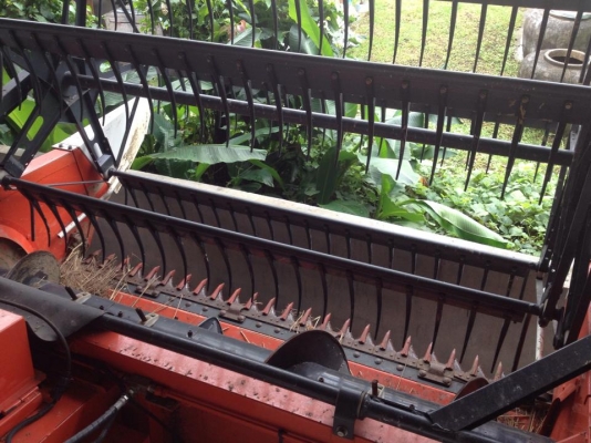 ขายด่วน