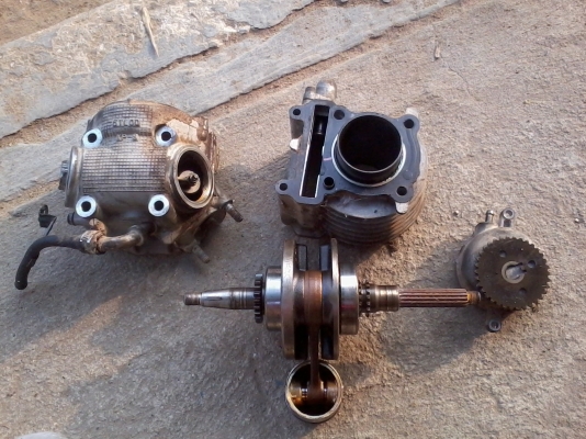 ขายเสื้อฝามีโอ พร้อมส่ง ถูกๆ