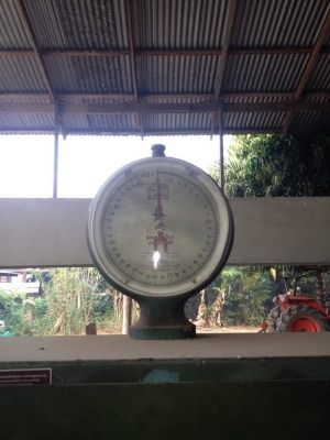 ขายตาชั่งรถบรรทุก (ต่อรองได้)