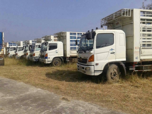 ขาย HINO - FG แม่ลูก มี8คัน