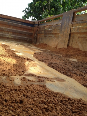 10ล้อดั้ม ISUZU ROCK 240นางฟ้าแท้ดั้มสามมิตร รถสวยจัด