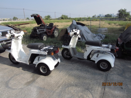 ขายด่วน Honda GYRO-X  เดิมๆจากญี่ปุ่น คันละ ราคา 19,500 บาท