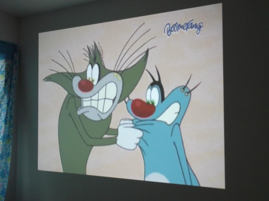 ขายเครื่องฉายโปรเจคเตอร์ Acer P1163