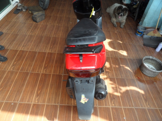 ป๊อบ ฮอนด้า ดิสหน้า 6800