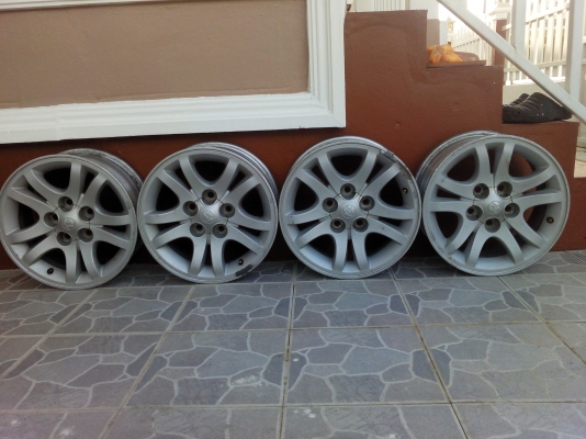 ขายแม็กไทเกอร์แท้ติดรถ