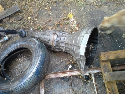 ขายจี้ปตามรูป40000