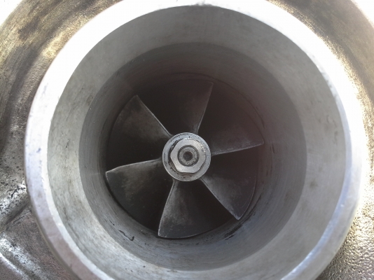 TurboTurbo ใบหน้า Mu-7 ใบหลัง Triton