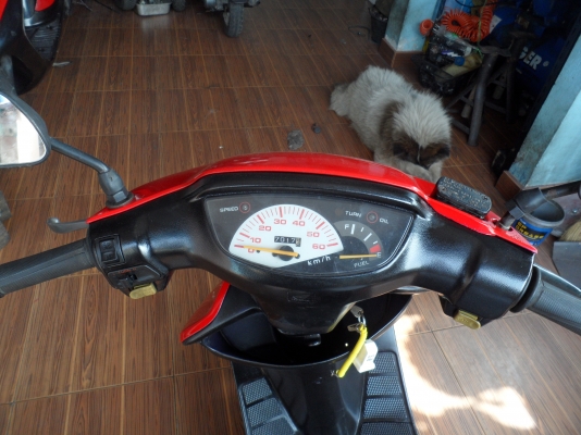 ป๊อบ ฮอนด้า ดิสหน้า 6500