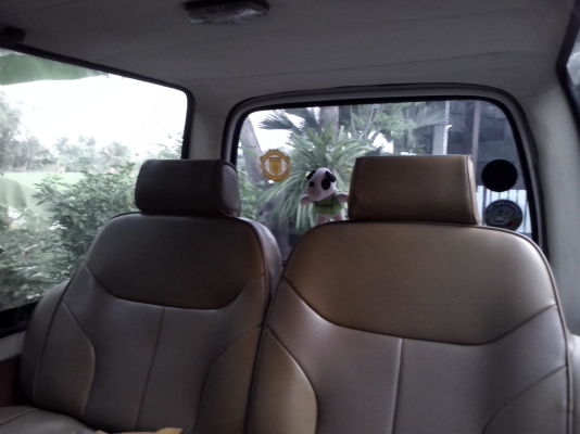 มารับไปอยู่พังงาแล้วครับ ขอบคุณพี่เสือและทีมงานมากครับ