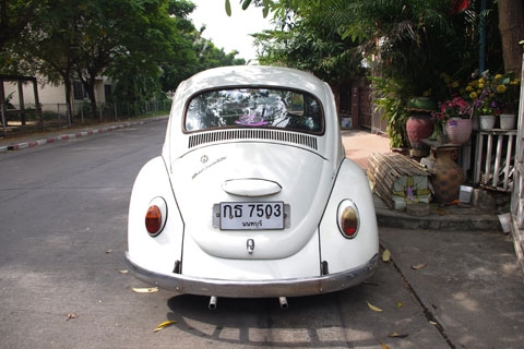 ขายด่วน โฟล์คเต่า คลาสสิค ปี 68 ขายด่วน โฟล์คเต่า คลาสสิค ปี 68