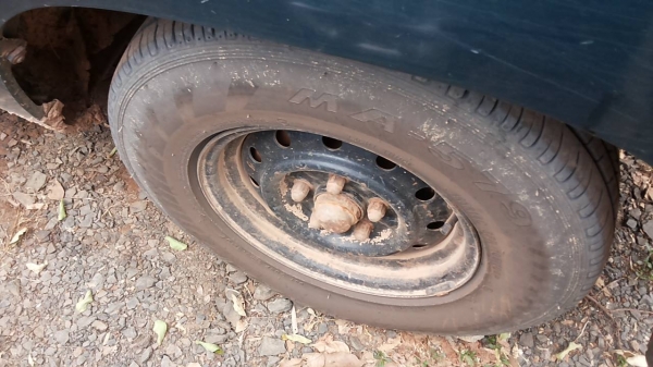 ***ขายแล้วครับขอบคุณ Truck2hand ขายกระบะแค็ปราคาเบาๆ ไมตี้เอ็กซ์ 2.5ปี35/92 เครื่องเดิมเกียร์เดิม เครื่องดี แรงดี ช่วงล่างคัสซีสวยเดิมไม่ปะไม่ดาม กระบะดี ปูเหล็กตีนเป็ดไม่มีผุ ยางเปลี่ยนมาใหม่ไม่นาน สวย4เส้น ฝาท้ายมีผุชายกับสีพองนิดหน่อย หน้า-หลังเดิมไม่เ