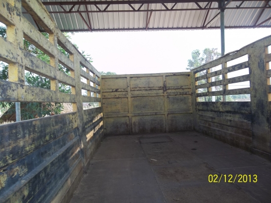 ขาย ISUZU ROCK ดั๊มเกษตร 175 แรง เบรคทิฟฟิ่ พ.พาวเวอร์ 12 ตัน