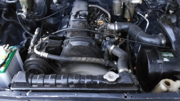 ***ขายแล้วครับ ขอบคุณ truck2hand ครับ ขายกระบะแค็ป ราคาเบาๆ ไมตี้เอ็กซ์ 2.5 โปร่งหลังแท้ ปี38/95 เครื่องเดิมเกียร์เดิมแน่น แรงดี ไม่เยิ้ม เกียร์ดีเข้าได้ทุกเกียร์ ช่วงล่างดีไม่มีส่าย คัสซีสวย ไม่ปะไม่ดาม กระบะดีไม่ผุ รถทำสีมา ทำโปร่งหน้า ภายในดีคอนโซลครบ