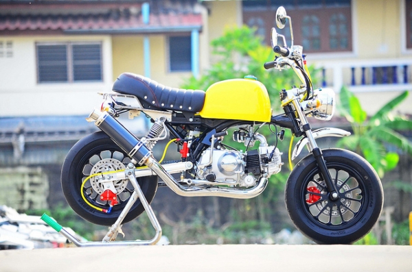 มังกี้ กอลิล่า แต่งๆๆ  LPMONKEYSHOP.COM