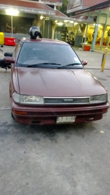 ขายโดเรมอน 30000 ครับ