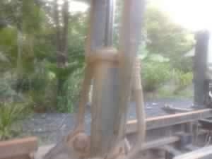 ISUZU NPR  ติดต่อปารวี  0839686255