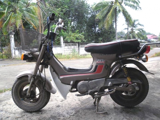 ขาย Honda ชาลี ขาย Honda ชาลี