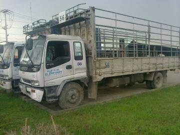 ขายหกล้อกระบะคาร์โก้คอกสูง ISUZU DECA FTR195  ยาว 7.20 ม.