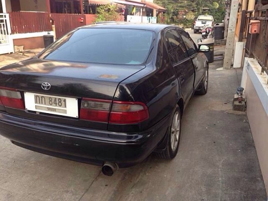 ท้ายโด่งถูกๆ