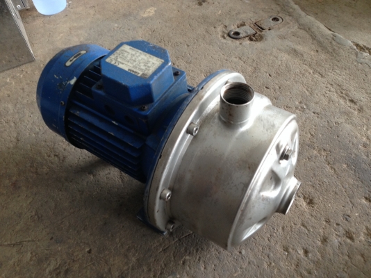 ขายปั้มน้ำหอยโข่งหัวสแตนเลส EBARA 1.5 HP. 380 V ใบพัด 2 ชั้น เข้า 1.5 นิ้ว ออก 1 นิ้ว สภาพสวย วิ่งนิ่มพร้อมใช้งาน